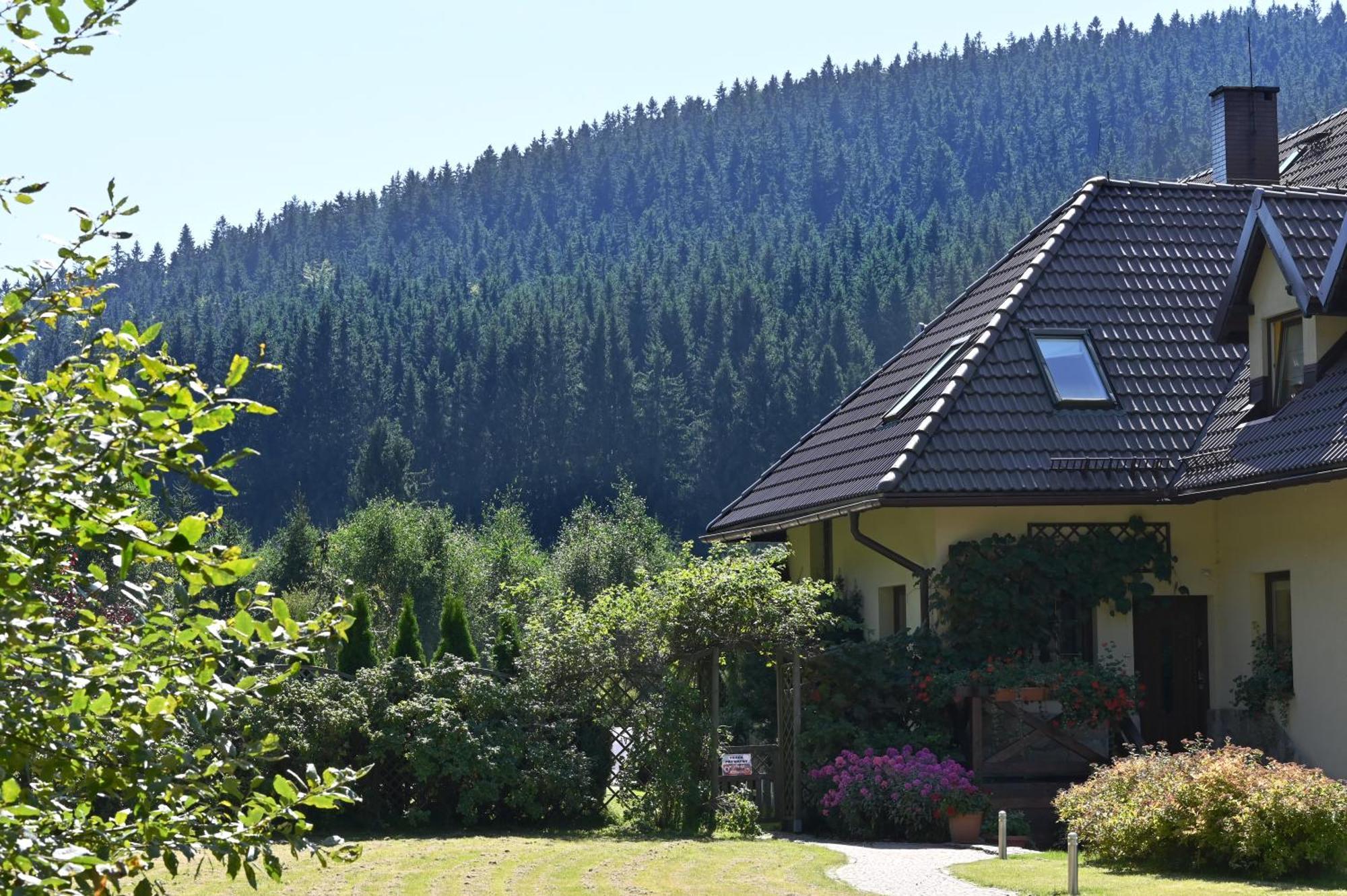Вилла Wichrowe Wzgorze Строне-Слёнске Экстерьер фото