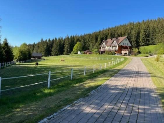 Вилла Wichrowe Wzgorze Строне-Слёнске Экстерьер фото