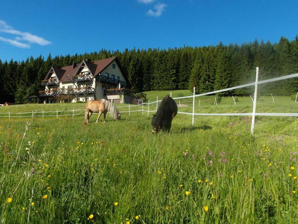 Вилла Wichrowe Wzgorze Строне-Слёнске Экстерьер фото